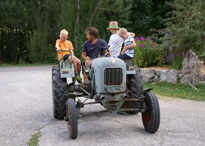 Alloggio per agriturismo Bio-bauernhof Waldesruh Mit Hofladen Tannheim